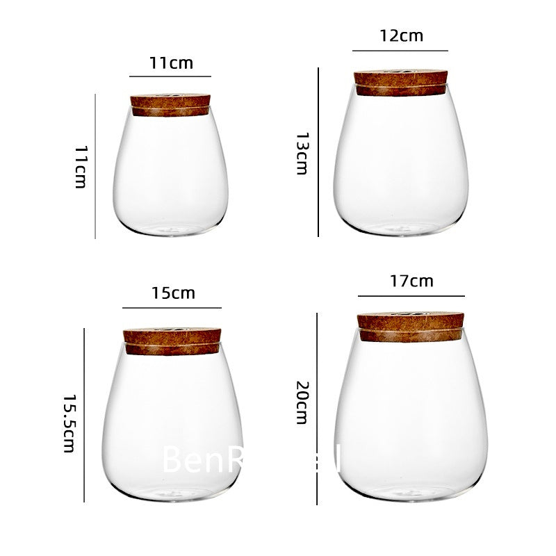 Micro Landscape Ecological Glass Bottle with Cork Lid Hydroponic Bryophyte Moss Plant Landscaping Glass Container Home Decor