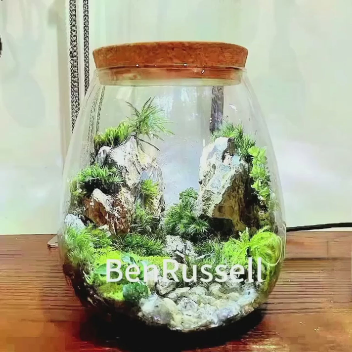 Micro Landscape Ecological Glass Bottle with Cork Lid Hydroponic Bryophyte Moss Plant Landscaping Glass Container Home Decor